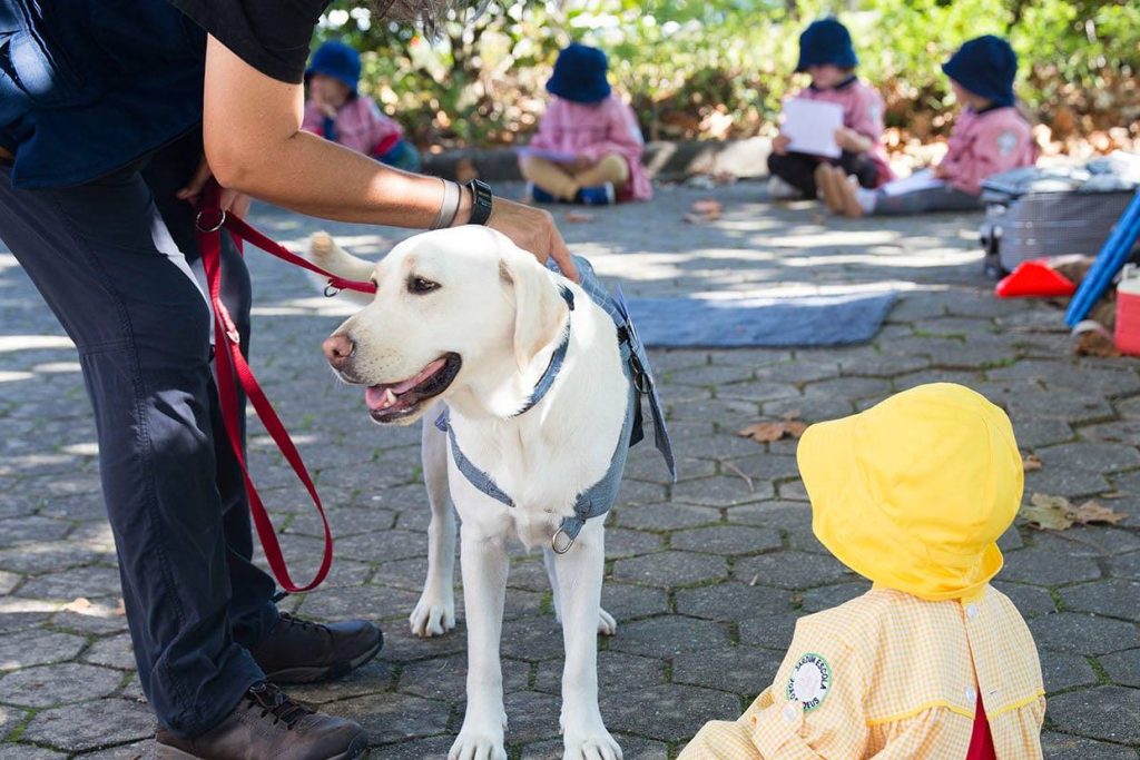 Vai CãoMigo