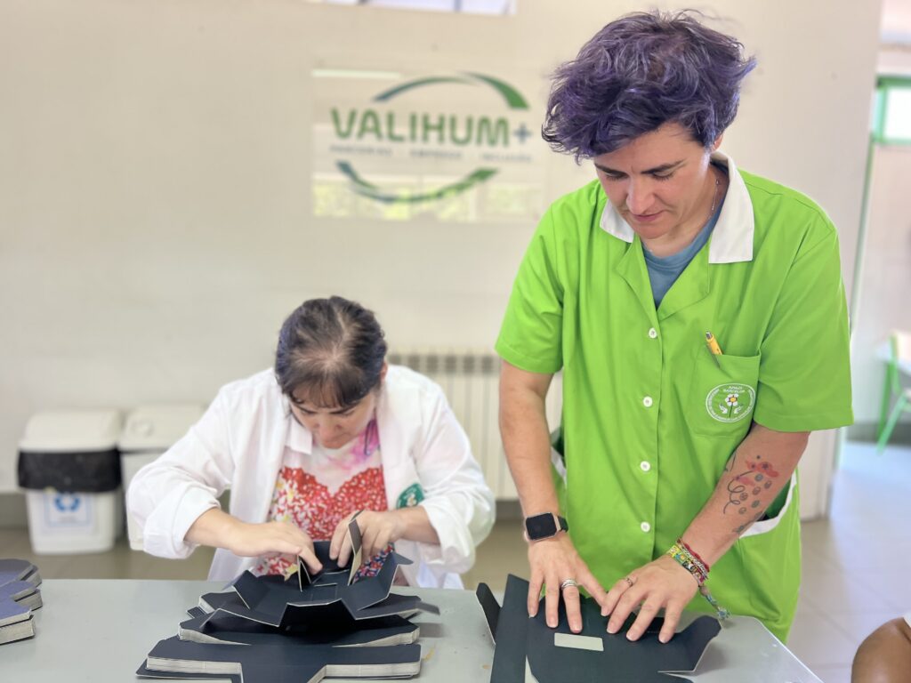 VALIHUM+  PARCERIAS|EMPREGO| INCLUSÃO